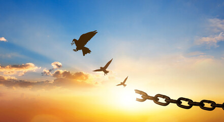 Silhouette of bird flying and broken chains at sunset background