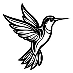 humming bird line art vector illustration