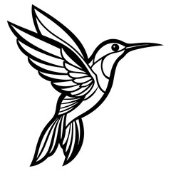 humming bird line art vector illustration