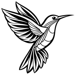 humming bird line art vector illustration