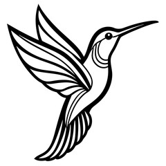humming bird line art vector illustration