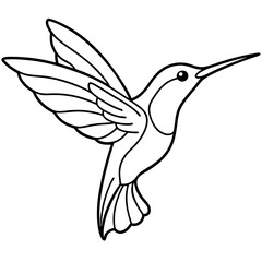 Obraz premium humming bird line art vector illustration