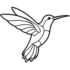 humming bird line art vector illustration