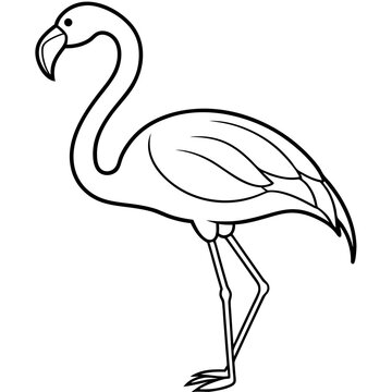 recommend clip art: flamingo line art vector illustration 