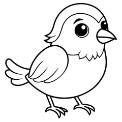 single baby sparrow  line art vector