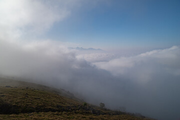 車山山頂から雲海を眺める