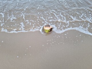 Coconut shell on the beach