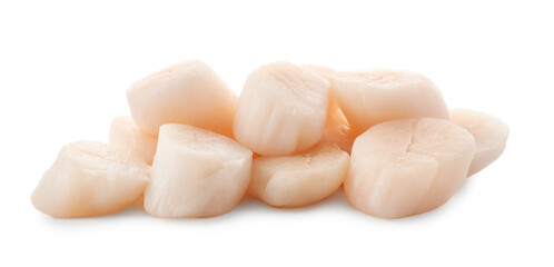 Pile of fresh raw scallops isolated on white