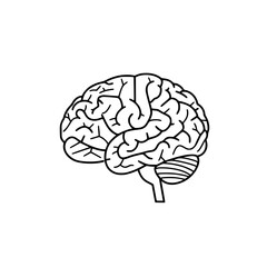 Brain Icon