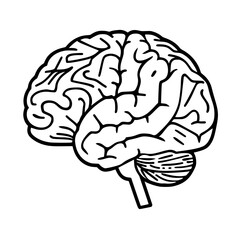 Brain SVG, Human Brain Svg,