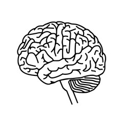 Brain SVG, Human Brain Svg,