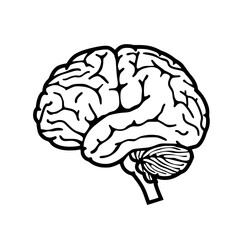 Brain SVG, Human Brain Svg,