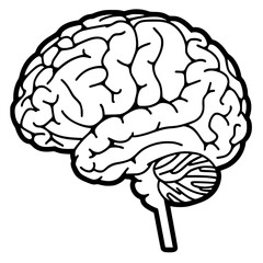 Brain SVG, Human Brain Svg,