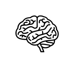 Brain SVG, Human Brain Svg,