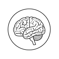 Brain SVG, Human Brain Svg,