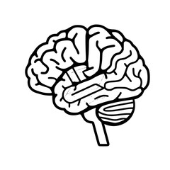 Brain SVG, Human Brain Svg, Brain Clipart, Mind Svg, 