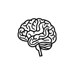 Brain SVG, Human Brain Svg, Brain Clipart, Mind Svg, 