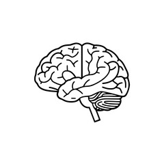 Brain SVG, Human Brain Svg, Brain Clipart, Mind Svg, 