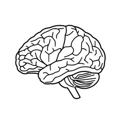 Brain SVG, Human Brain Svg, Brain Clipart, Mind Svg, Brain vector,