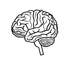 Brain SVG, Human Brain Svg, Brain Clipart, Mind Svg, Brain vector,