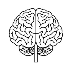 Brain SVG, Human Brain Svg, Brain Clipart, Mind Svg, Brain vector,