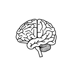 Brain SVG, Human Brain Svg, Brain Clipart, Mind Svg, Brain vector,