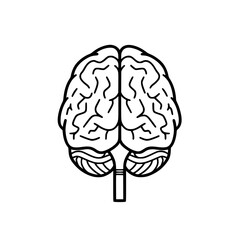Brain SVG, Human Brain Svg, Brain Clipart,