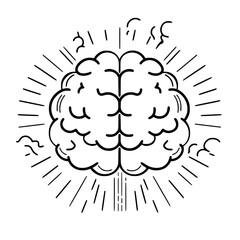 Brain SVG, Human Brain Svg, Brain Clipart,