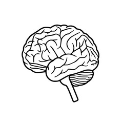 Brain SVG, Human Brain Svg, Brain Clipart,