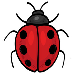 Cute Ladybug Cartoon Insect Vector Illustration