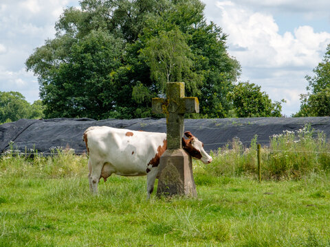 Salland, Het Stenen Kruis, Olst, Overijssel province, The Netherlands
