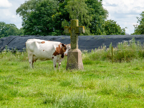 Salland, Het Stenen Kruis, Olst, Overijssel province, The Netherlands