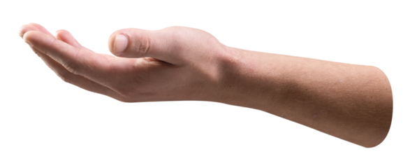 Png empty hands holding sticker, transparent background