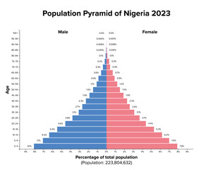 Population pyramid of Nigeria 2023. Age structure diagram and graphical illustration of the distribution of over 223 million people, divided into females and males, quoted in percent and 4-year steps.