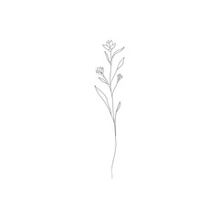Obraz premium Minimalist floral line art. Abstract botanical decorative elements, modern botanical line drawing, floral tattoo design. Vector isolated illustration