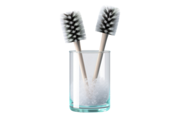 A Pair of Sparkling Clean Bottle Brushes Resting in a Glass of Water on a Clear PNG or White Background.