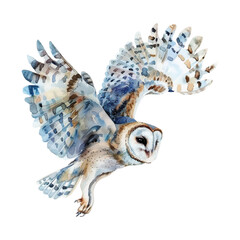 Obraz premium Watercolor cute owl flying isolated on white background.
