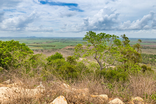 View from Mount Inkerman Scenic Lookout over Landscape of Queensland, Australia