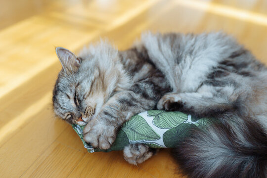fabric pillow roll filled with catnip for play and interest of cats