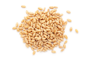 A close-up pile of organic Wheat Grains (Triticum) or caryopsis fruits, isolated on a white background. Top view