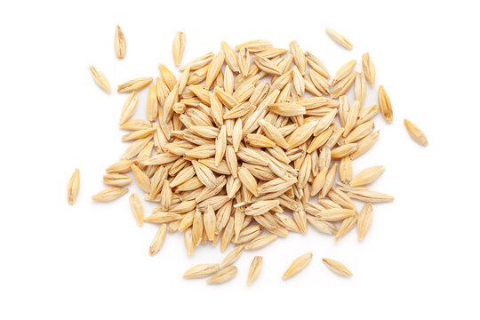 A close-up pile of organic Barley (Hordeum Vulgare) or Jau Grains, isolated on a white background. Top view
