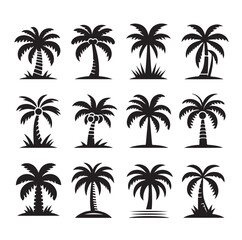 Black palm trees set isolated on white background. Palm silhouettes. Design of palm trees for posters, banners and promotional items. Vector illustration