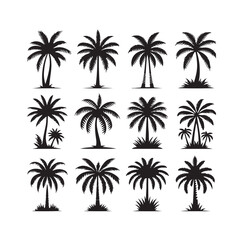 Black palm trees set isolated on white background. Palm silhouettes. Design of palm trees for posters, banners and promotional items. Vector illustration