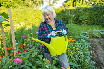 Watering vegetable garden. A woman gardener in an apron and gloves waters the beds with organic vegetables. Caring for cucumber plants in the home vegetable garden.  © Shi 