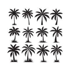 Black palm trees set isolated on white background. Palm silhouettes. Design of palm trees for posters, banners and promotional items. Vector illustration