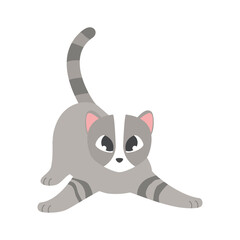 cat 3