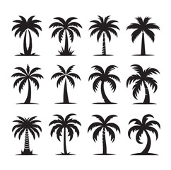 Black palm trees set isolated on white background. Palm silhouettes. Design of palm trees for posters, banners and promotional items. Vector illustration