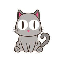 cat 15