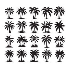 Black palm trees set isolated on white background. Palm silhouettes. Design of palm trees for posters, banners and promotional items. Vector illustration