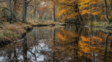 A river with a reflection of trees and leaves in the water
